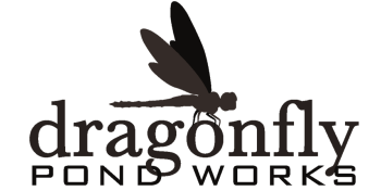 dragonfly-pond-works-logo--2.png