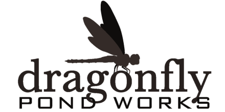 dragonfly-pond-works-logo--2.png